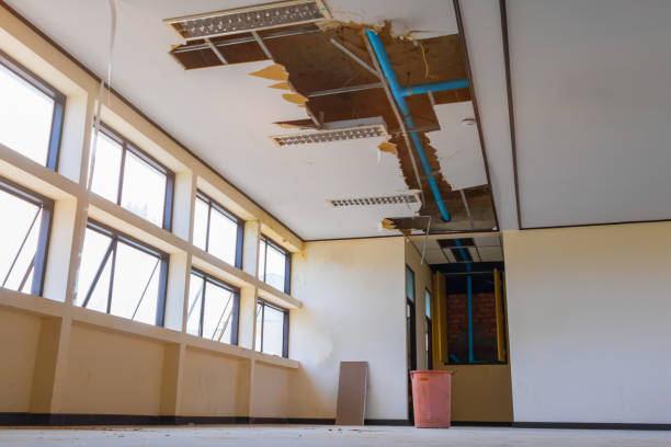 Best Ceiling water damage repair  in Basehor, KS