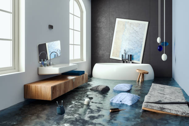 Best Water damage contractors near me  in Basehor, KS