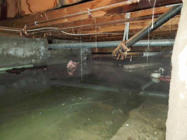 Best Flooded house restoration  in Basehor, KS