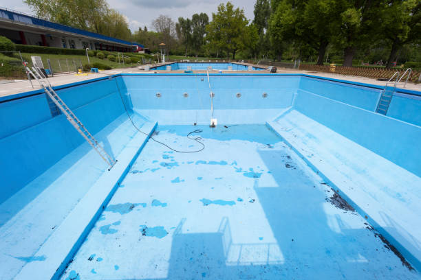 Best Basement water damage restoration  in Basehor, KS