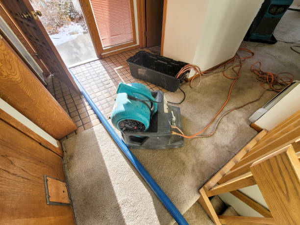 Best Emergency water damage restoration  in Basehor, KS