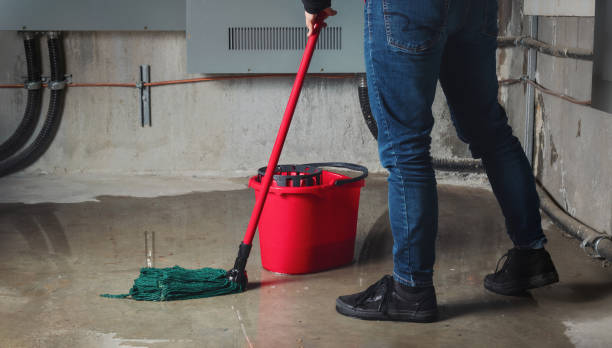 Best Water damage restoration near me  in Basehor, KS