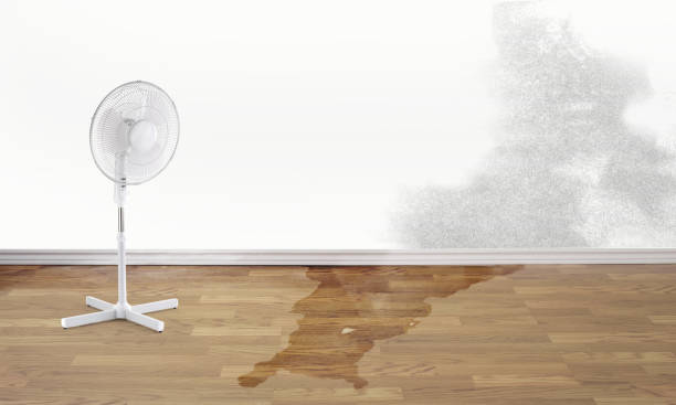 Best Commercial water damage restoration  in Basehor, KS