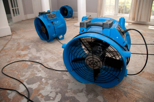 Best Fire Damage Restoration  in Basehor, KS