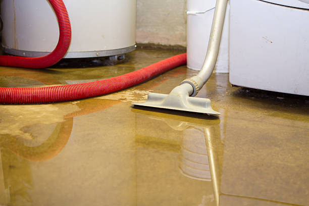 Best 24-hour water damage restoration  in Basehor, KS