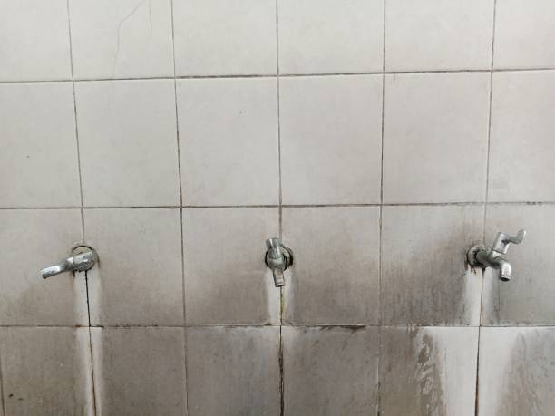 Best Professional water damage repair  in Basehor, KS