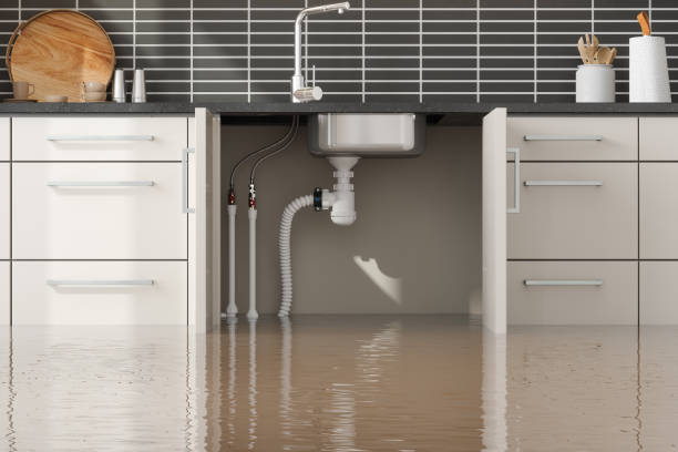 Best Residential water damage restoration  in Basehor, KS